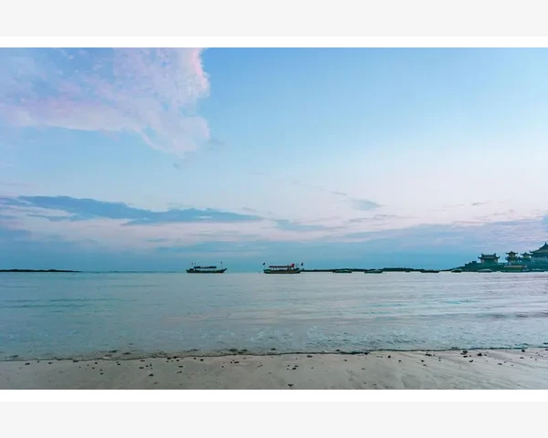 B2B反向竞标供应商利润防线怎么守