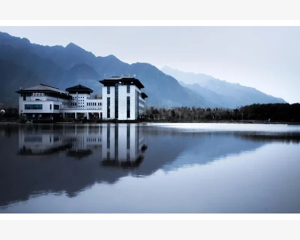 健脾胃的奥秘：先排湿气，后调和健康